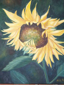 Sonnenblume by Hannelore Pritzl