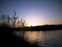 Abendstimmung am Rhein von rosenlady