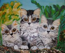 Drei neugierige graue Katzen by rosenlady