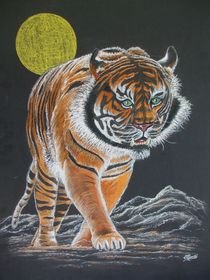 Tiger von Bernd Musti