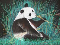 Panda von Bernd Musti