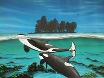 Orcas 2 von Bernd Musti