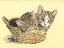 Zwei Kätzchen by Tanja Böhning