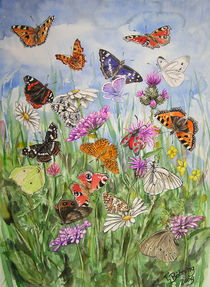 Schmetterlinge von Tanja Böhning