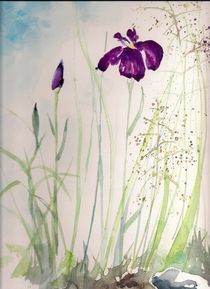 Sibirische Iris by Eva Pötzelsberger