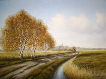 Moorlandsweg bei Jever (Friesland) by Lothar Struebbe