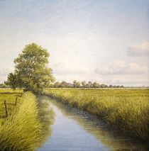 Landschaft bei Jever   Friesland by Lothar Struebbe