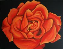 Rose - 1993 70 x 50 cm VERKAUFT ! by Harry Stabno