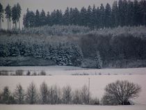 Winterlandschaft by raven84