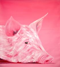 Schwein by Eckhard Besuden