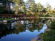 japanese garden by Anne Seltmann