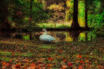 Herbstzeit by Michael Jaeger