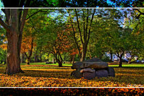 Herbst im Park von Rene Müller