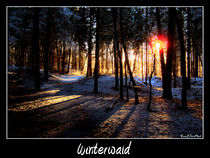 Winterwald by Rene Müller