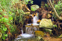 Kleiner Wasserfall unter grünen Blättern  von Ulrike Haberkorn