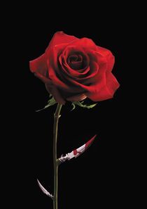 Deadly rose by Boriana Giormova