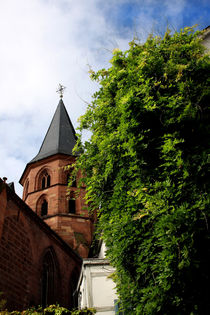 Stiftskirche Kaiserslautern by lizcollet