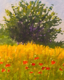 Mohnblumen - Poppies Field von Lutz Baar