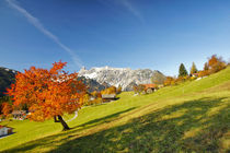 Herbst in den Bergen von Johannes Netzer