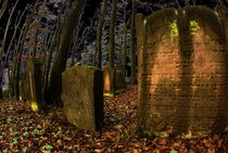 Friedhof by Harald Kraeuter