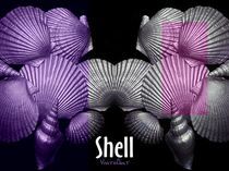 Shell in Art -pink beach by Angela Parszyk
