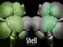 Shell in Art - Grüne Strandwiese by Angela Parszyk