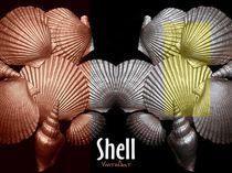 Shell in Art - Strandleben von Angela Parszyk