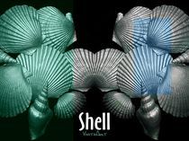 Shell in Art - Meeresgrund von Angela Parszyk