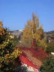 Herbst in Radebeul by Christoph E. Hampel