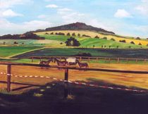 Drei Pferde und der Spitzberg by matsbildergallerie
