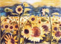 Sonnenblumenfeld von matsbildergallerie