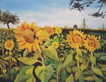 Ein wildes Sonnenblumenfeld by matsbildergallerie