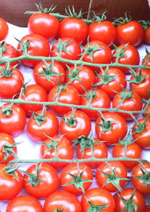 Tomaten von Uschy Baumgarten