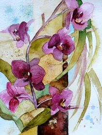 pinkfarbene Orchideen  von Claudia Pinkau