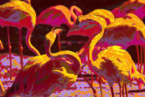 Flamingos by claudia Otte