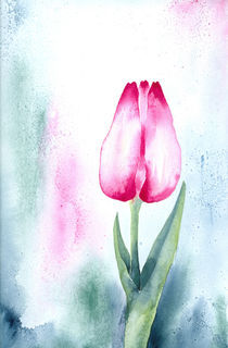 Tulpe I von farbart