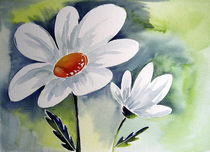 Weiße Gänseblümchen abstrakt von farbart