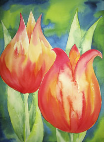 Tulpen Orange von farbart