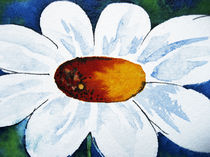 Weiße Blüte by farbart