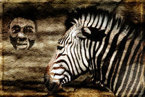 Zebra von Ralf Drischel-Kubasek