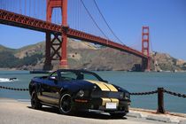 Shelby und Golden Gate Bridge von geoland