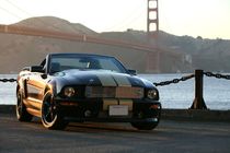 Shelby und Golden Gate Bridge by geoland