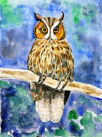 Weise Eule - Wise Owl von Caroline Lembke