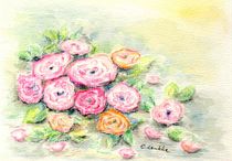 Zarte Rosenblüten von Caroline Lembke