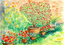 Mein rosaroter Oleander by Caroline Lembke
