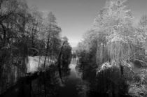 winter stream by Nils Volkmer