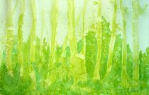 green green forest by Silke Gottschalk