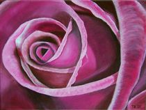 Purple Rose von Thomas Bley