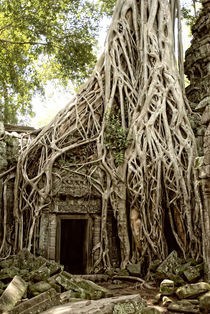 Angkor temple von dreamyfaces