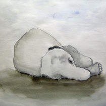 Elefantennickerchen von Nicole Hempel